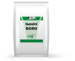 Quimifol Boro